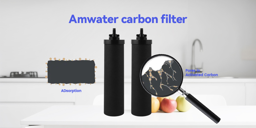 amwater carbon filter