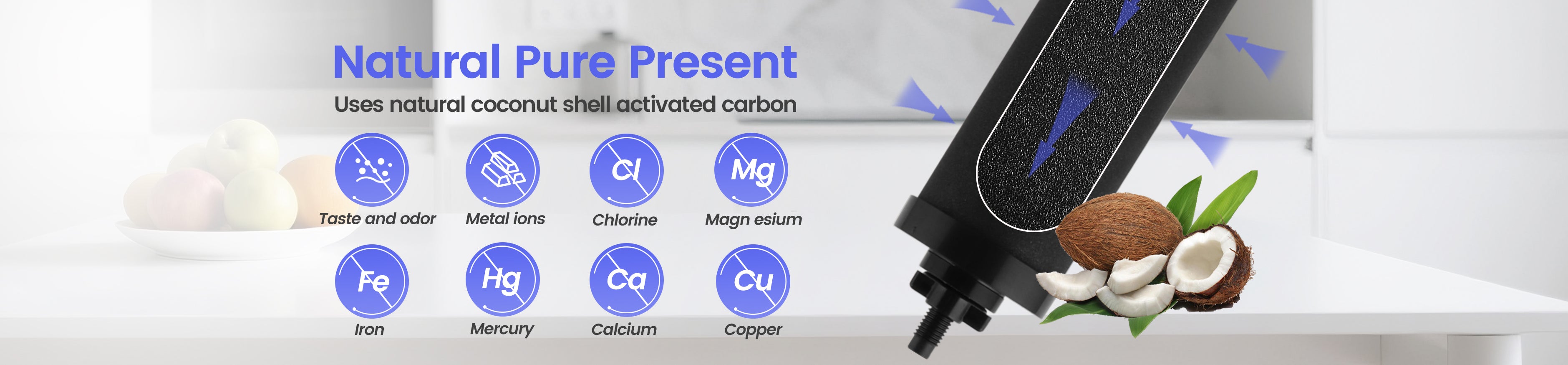 Carbon filter with coconut shell activated carbon and text on a white background
